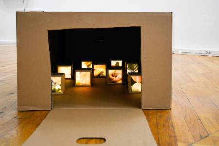 nine wooden lightboxes with photographic images in cardboard