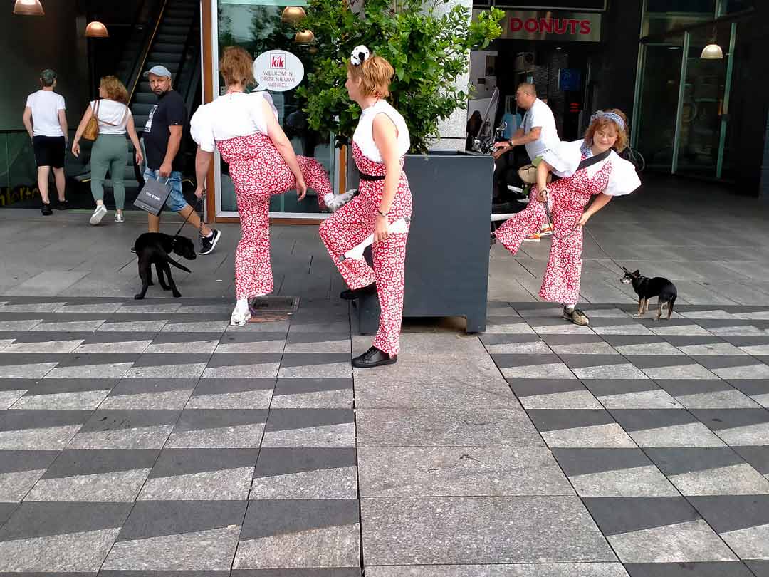 three ladies performing outside with dogs